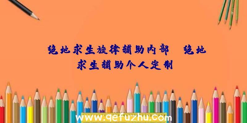 「绝地求生旋律辅助内部」|绝地求生辅助个人定制